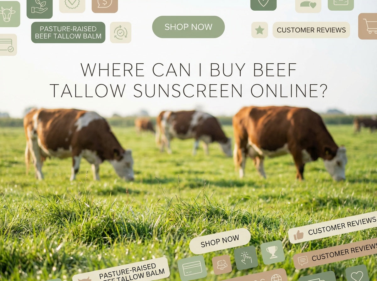Where Can I Buy Beef Tallow Sunscreen Online?
